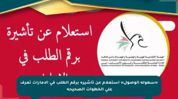«سهولة الوصول» استعلام عن تأشيرة برقم الطلب في الإمارات تعرف على الخطوات الصحيحة￼